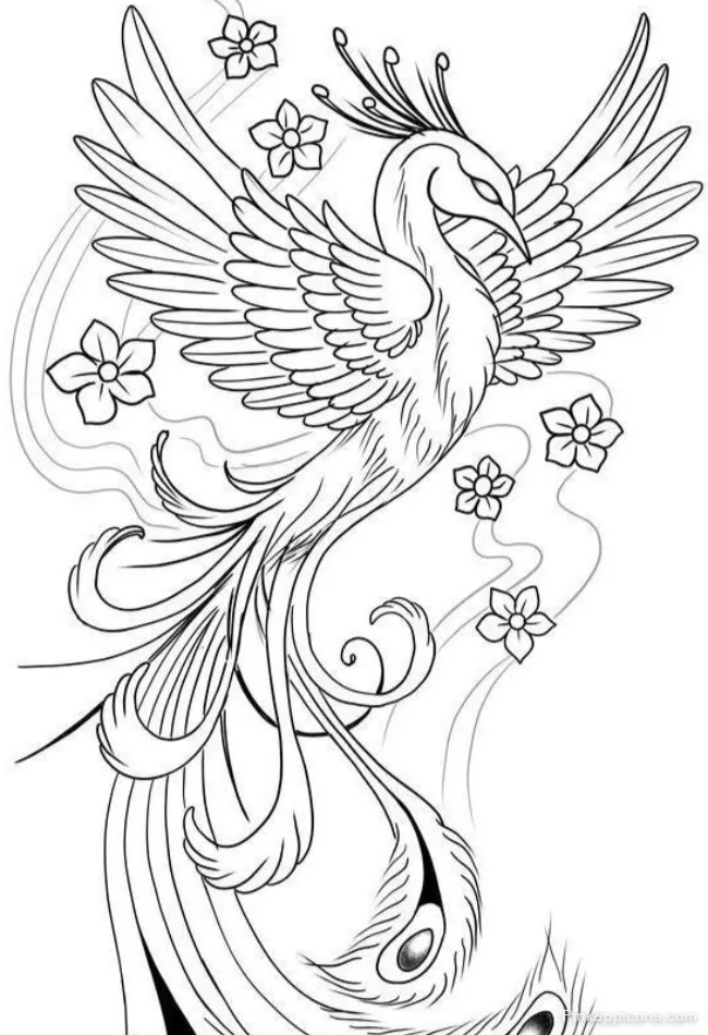 Graceful Flying Peacock Drawing with Flowers An Elegant Tattoo Style DRAWING IDEAS Graceful Flying Peacock Drawing with Flowers An Elegant Tattoo Style DRAWING IDEAS