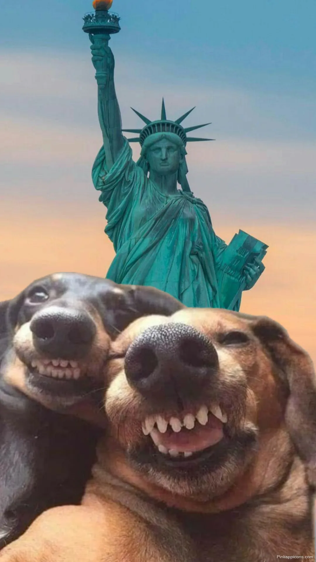 Hilarious Dog Grin Wallpaper Funny Statue of Liberty Background Hilarious Dog Grin Wallpaper – Funny Statue of Liberty Background