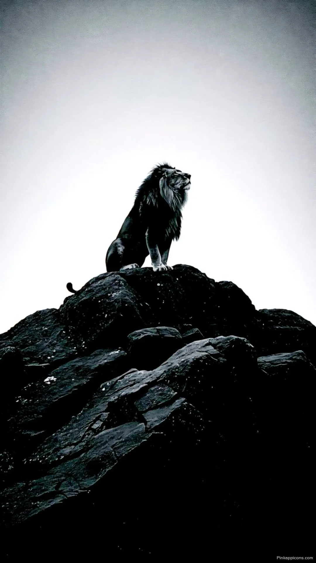King of the Hill Lion Silhouette Dark Aesthetic Wallpaper Powerful Animal for Mobile King of the Hill Lion Silhouette Dark Aesthetic Wallpaper Powerful Animal for Mobile.