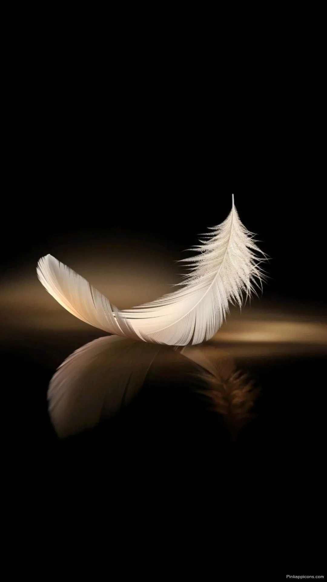 Luminous Feather Reflection on Black Your next beautiful cute wallpaper phone Luminous Feather Reflection on Black Your next beautiful cute wallpaper phone.