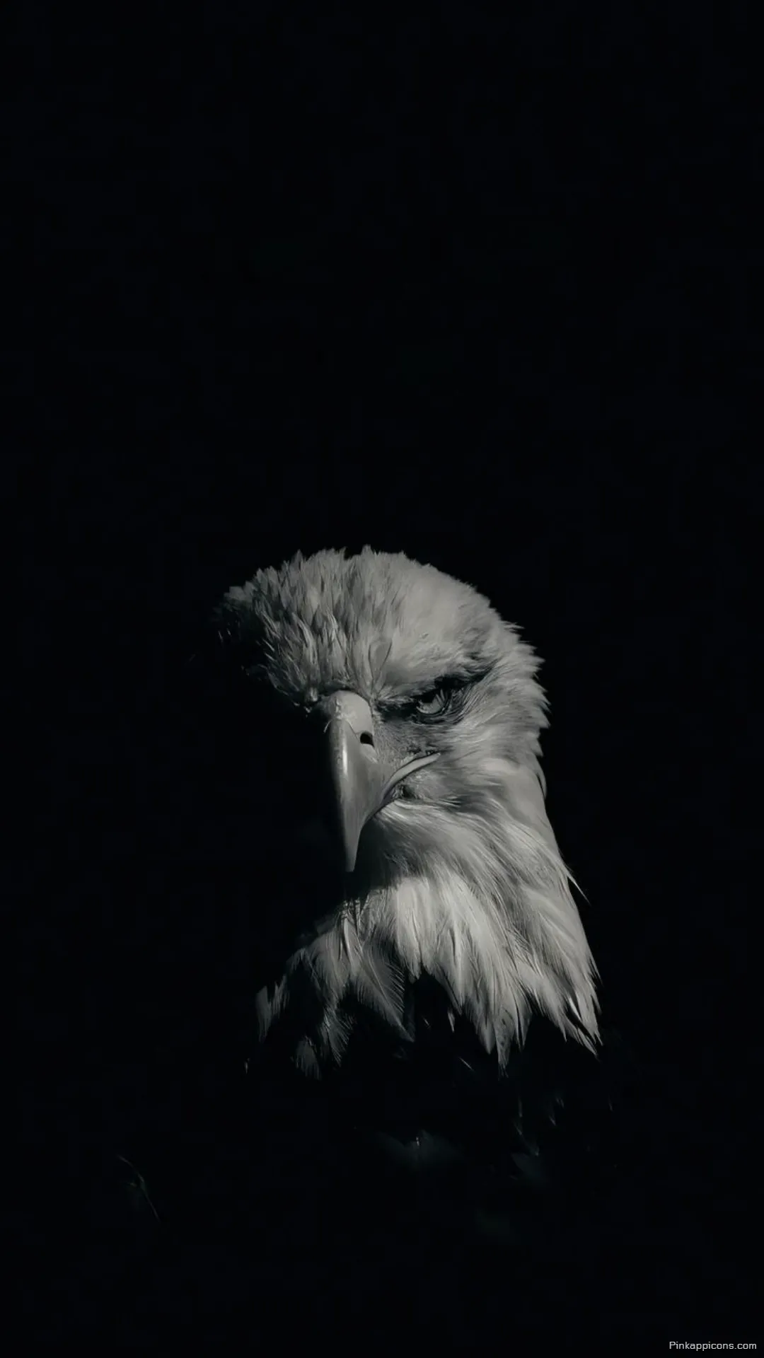 Majestic Eagle Portrait Dark Aesthetic Wallpaper Shadowy Wildlife for Mobile Screens Majestic Eagle Portrait Dark Aesthetic Wallpaper Shadowy Wildlife for Mobile Screens.