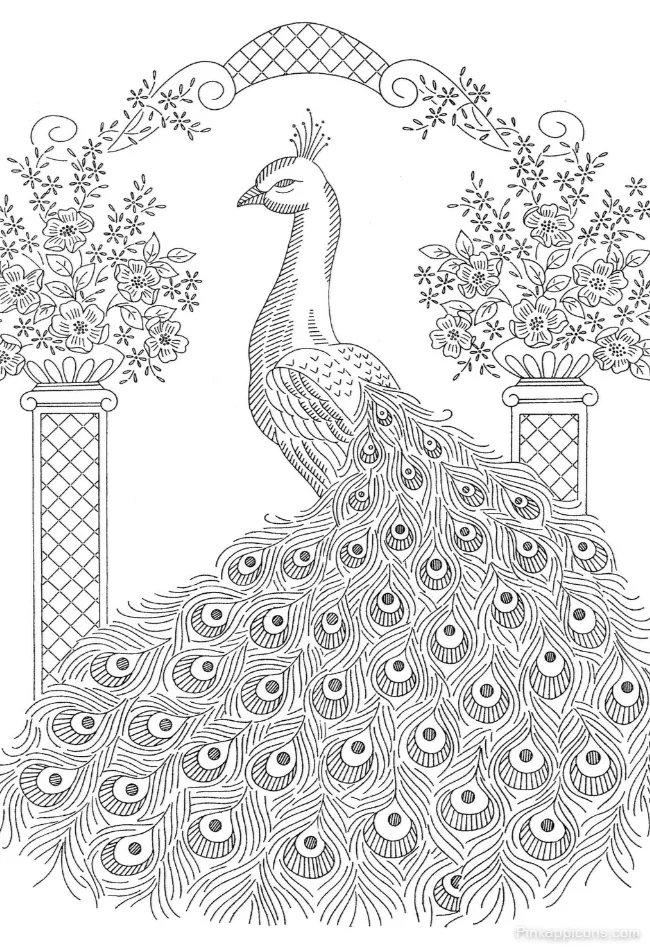 Majestic Peacock Drawing with Floral Pillars An Elegant Garden Scene DRAWING IDEAS Majestic Peacock Drawing with Floral Pillars An Elegant Garden Scene DRAWING IDEAS