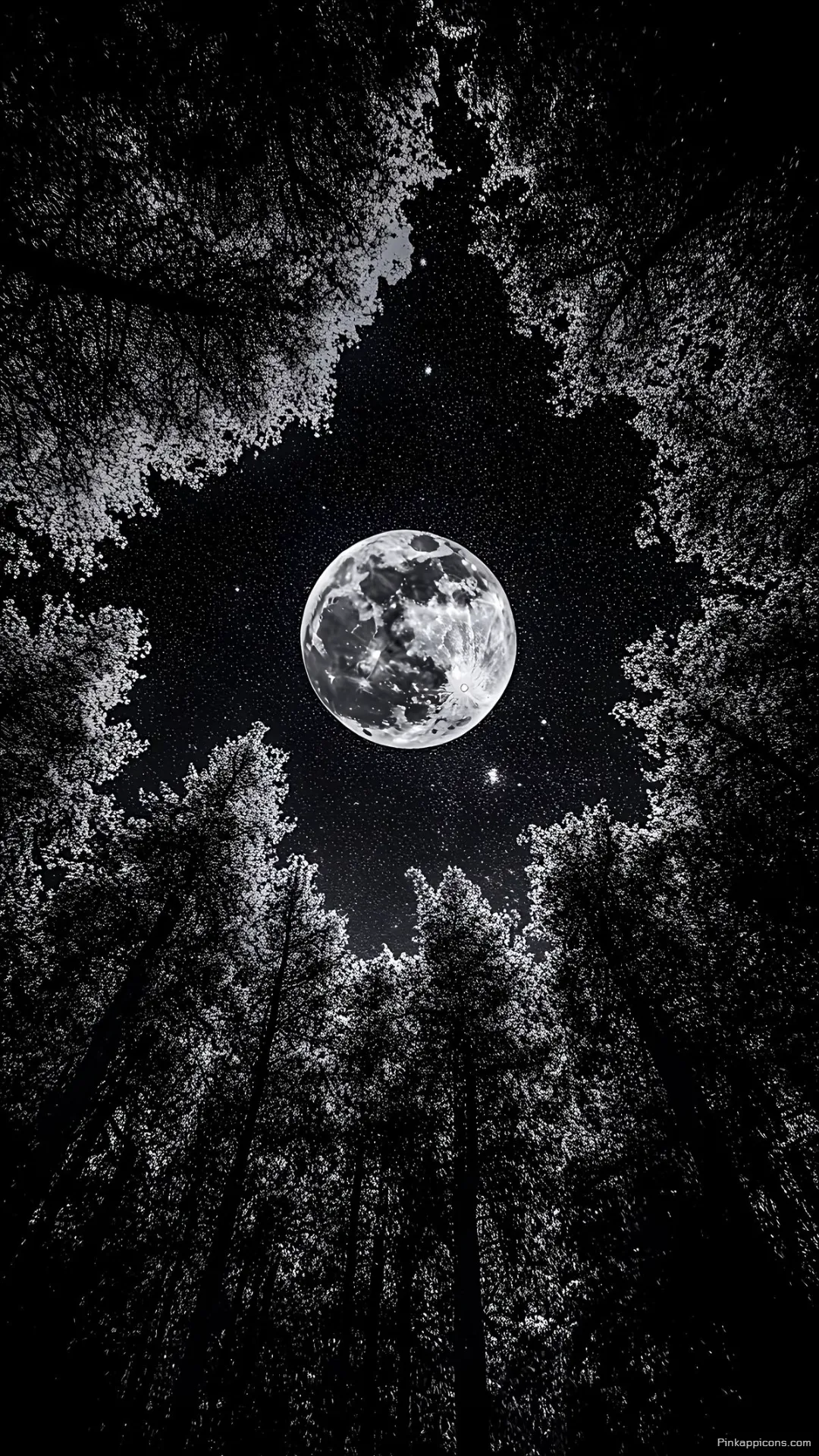 Monochrome Moon and Star Wallpaper A BW Forest Night Sky Scene for Your Phone Screen Monochrome Moon and Star Wallpaper A B&W Forest Night Sky Scene for Your Phone Screen