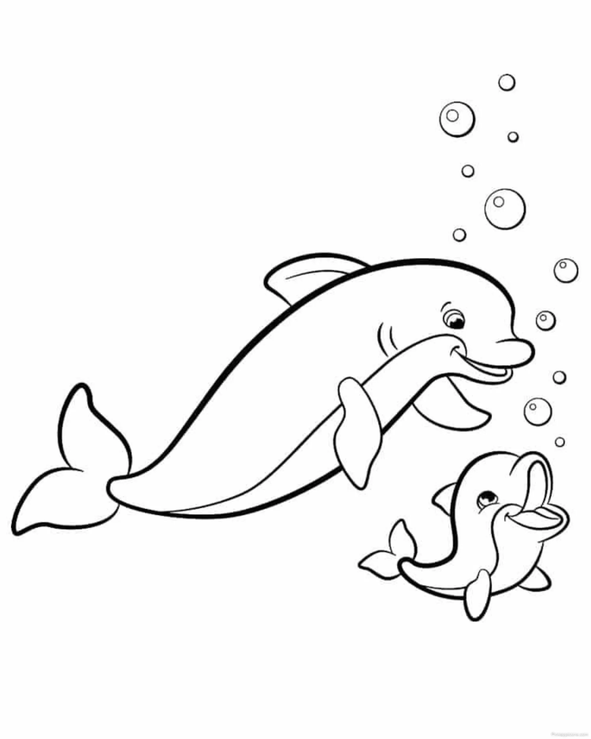 Mother and Baby Dolphin Drawing Ideas with Bubbles Mother and Baby Dolphin Drawing Ideas with Bubbles