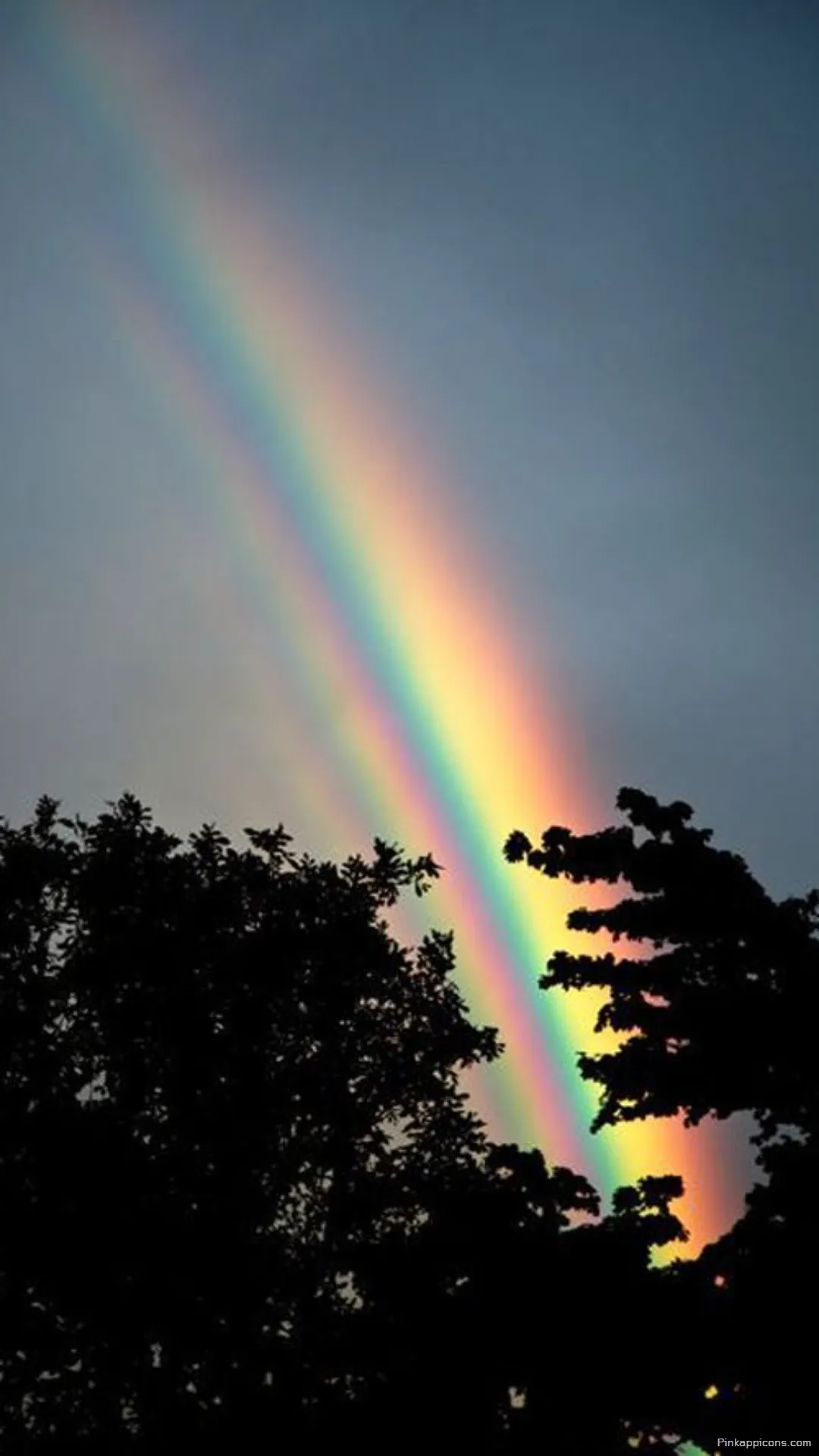 Mystical Rainbow Wallpaper Colorful Sky Above Tree Silhouettes for Mobile Mystical Rainbow Wallpaper Colorful Sky Above Tree Silhouettes for Mobile