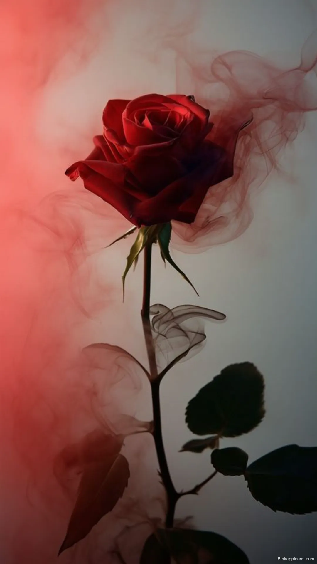 Mystical Smoke Rose Wallpaper Beautiful Red Rose with Flowing Smoke for Your Phone Mystical Smoke Rose Wallpaper Beautiful Red Rose with Flowing Smoke for Your Phone