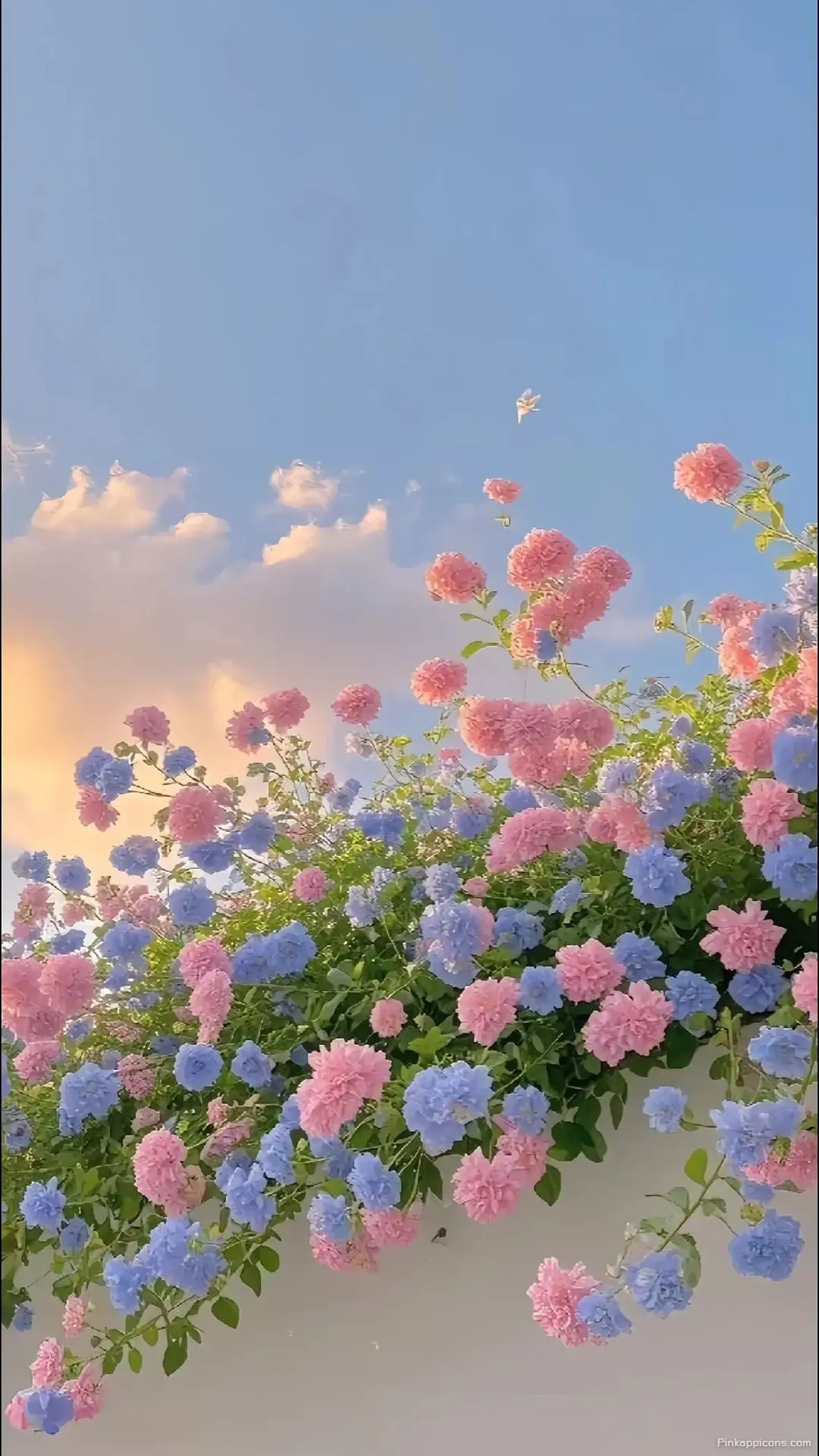 Pastel Flowers Spring Wallpaper for Phone Pastel Flowers Spring Wallpaper for Phone