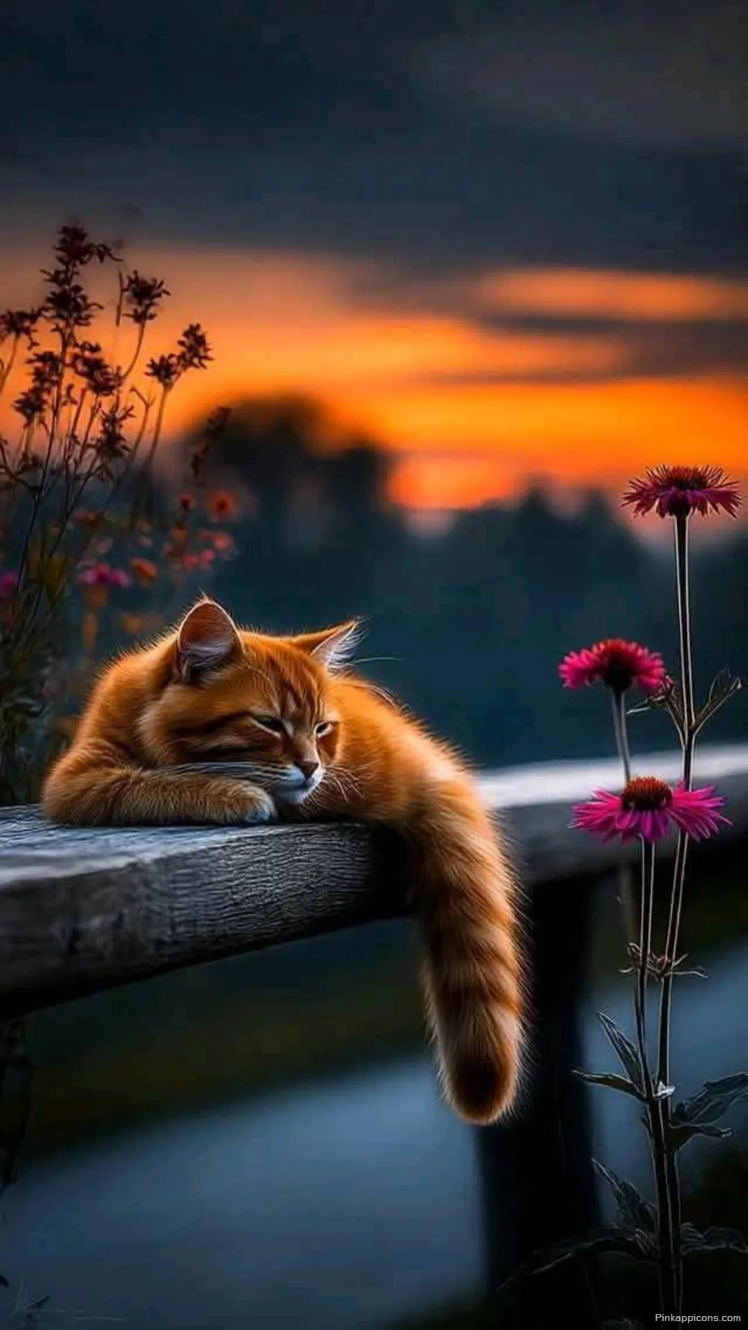 Peaceful Cat Resting by Flowers at Dusk Your next beautiful cute wallpaper phone Peaceful Cat Resting by Flowers at Dusk Your next beautiful cute wallpaper phone.