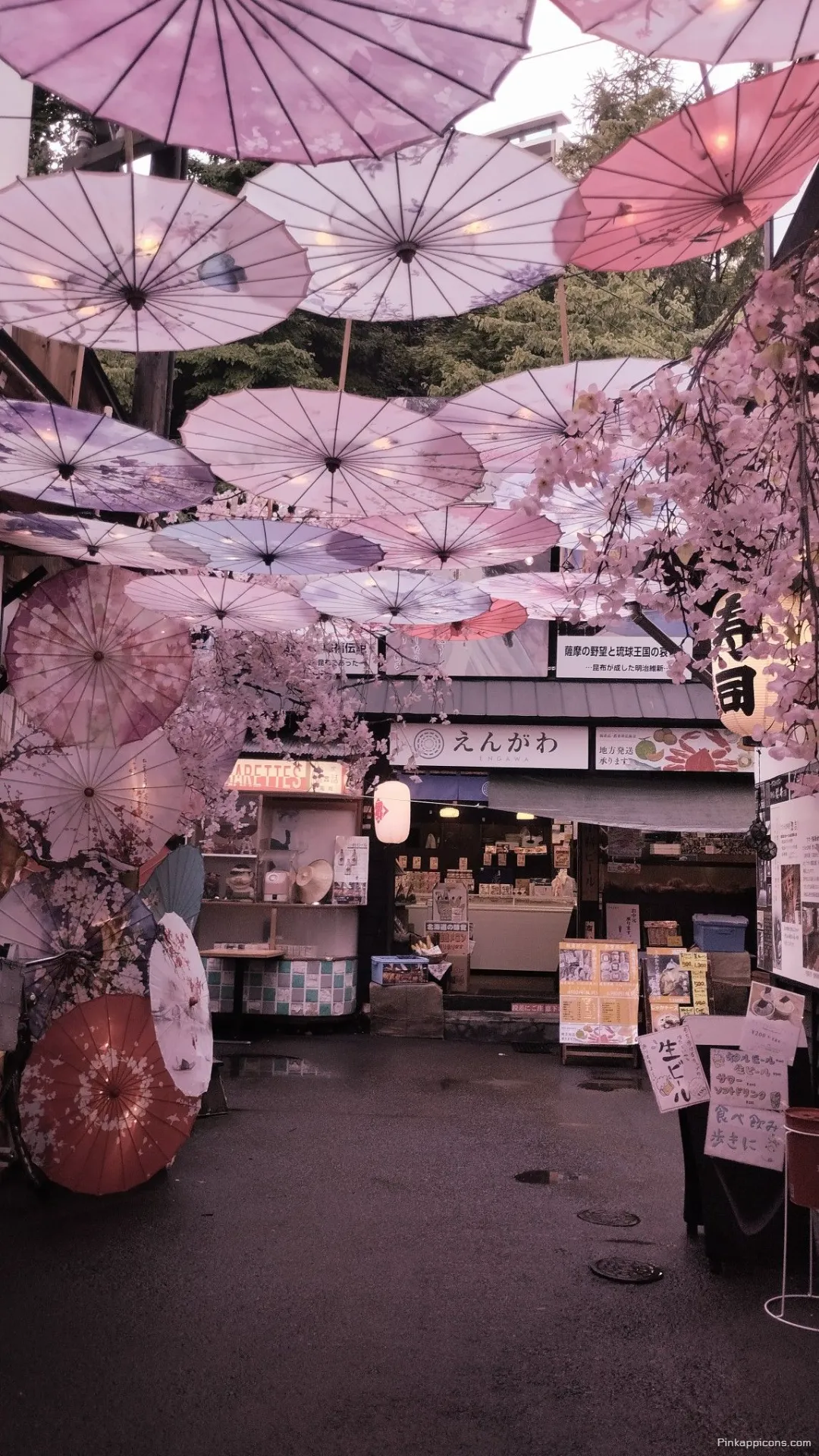 Pink Aesthetic Tokyo Wallpaper A beautiful street scene with cherry blossoms and umbrellas Pink Aesthetic Tokyo Wallpaper A beautiful street scene with cherry blossoms and umbrellas