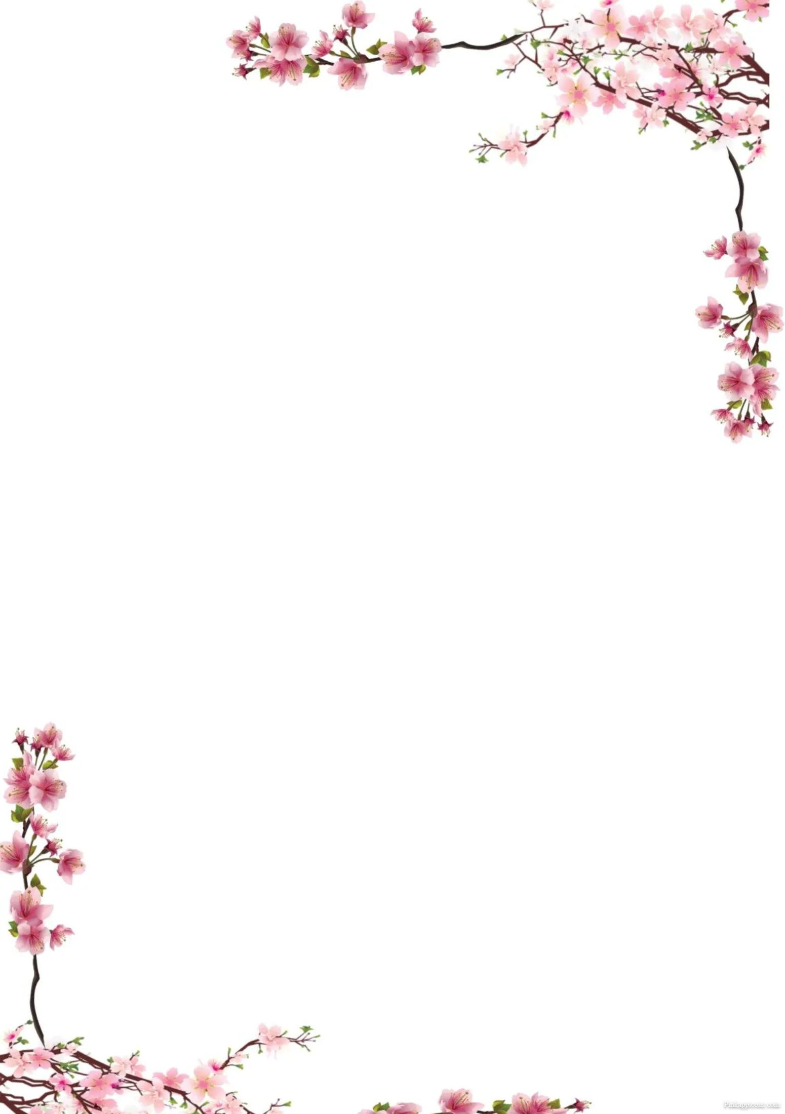 Pink Cherry Blossom Accents Spring Floral Border Design Ideas Pink Cherry Blossom Accents Spring Floral Border Design Ideas.