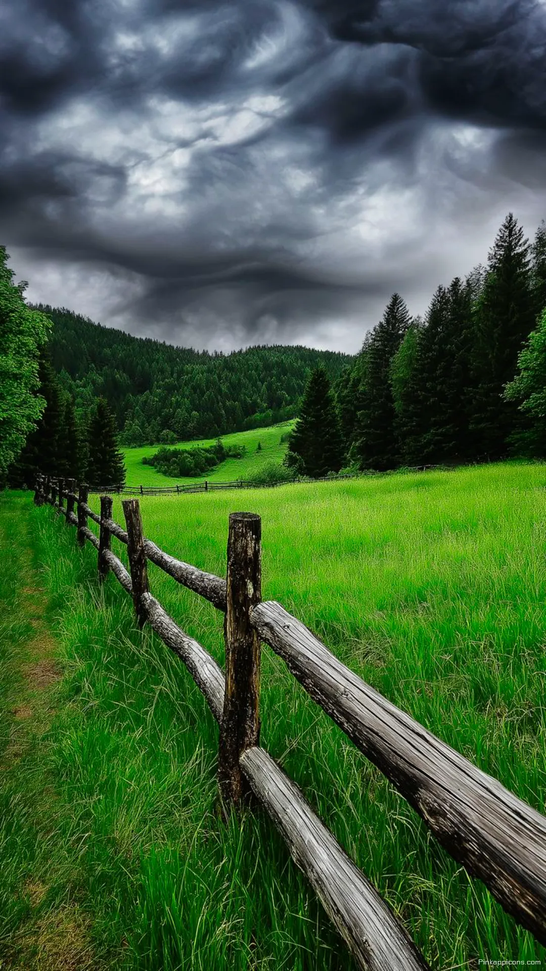 Scenic Meadow and Pine Forest Wallpaper with a Wooden Fence Scenic Meadow and Pine Forest Wallpaper with a Wooden Fence