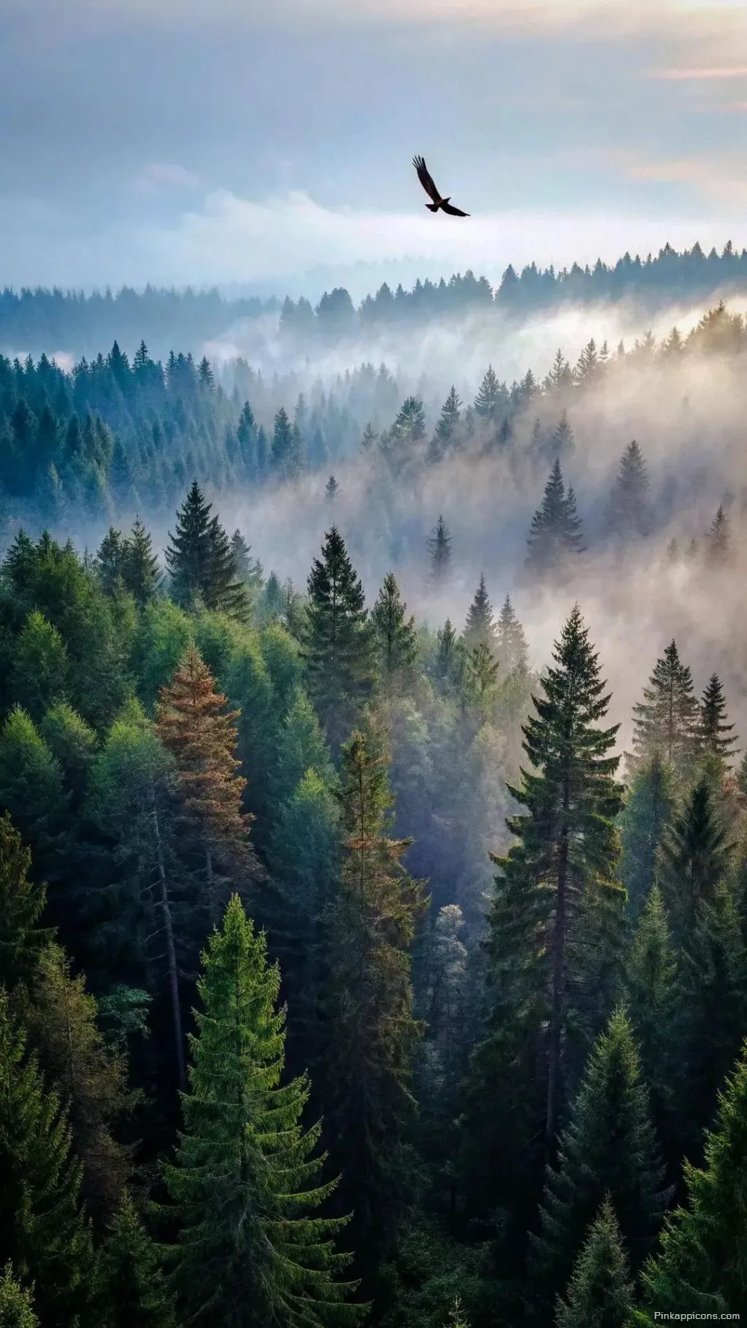 Serene Mountain Forest Wallpaper at Golden Hour with a Hazy Valley View Serene Mountain Forest Wallpaper at Golden Hour with a Hazy Valley View