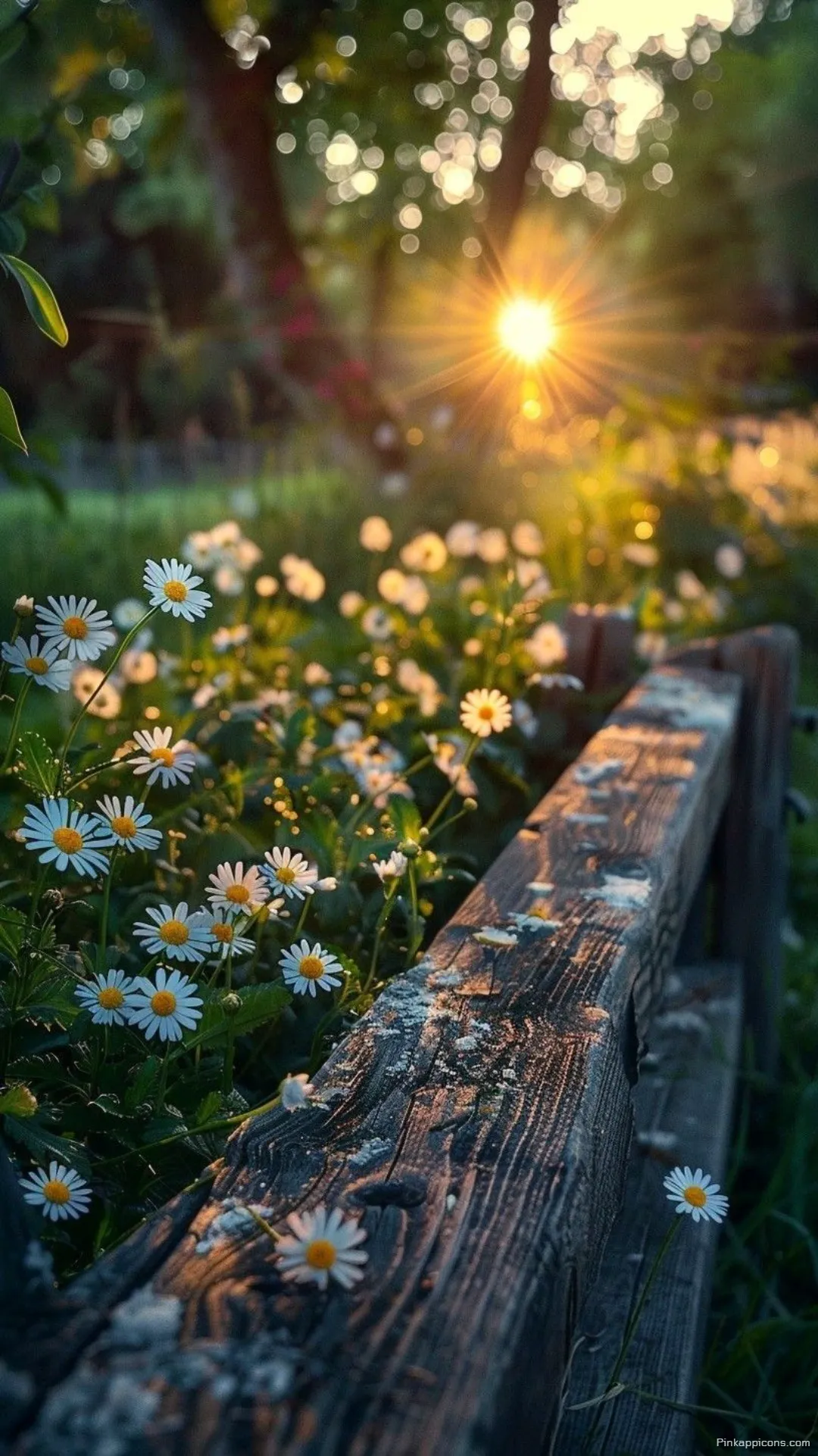 Serene Nature Wallpaper Ideas Sunbeams Over a Field of Daisies Serene Nature Wallpaper Ideas Sunbeams Over a Field of Daisies