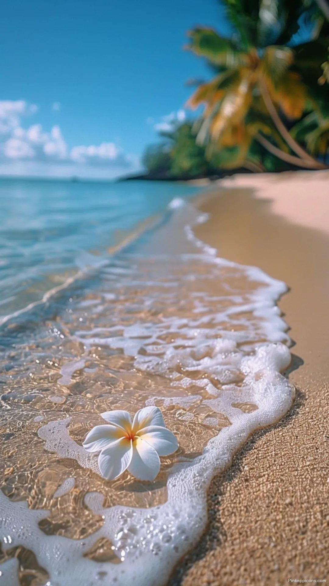 Serene Ocean Wave Flower Wallpaper Your Next Beautiful Cute Wallpaper Phone Serene Ocean Wave & Flower Wallpaper Your Next Beautiful Cute Wallpaper Phone.