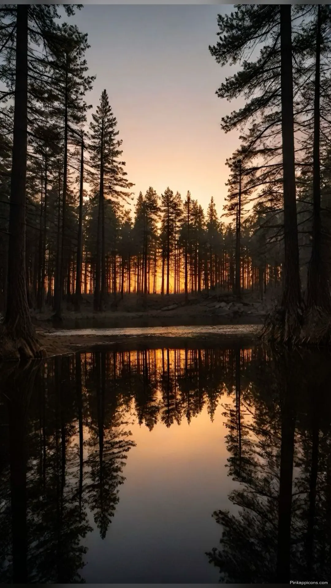 Serene Pond and Trees Forest Wallpaper with a Vibrant Sky Serene Pond and Trees Forest Wallpaper with a Vibrant Sky