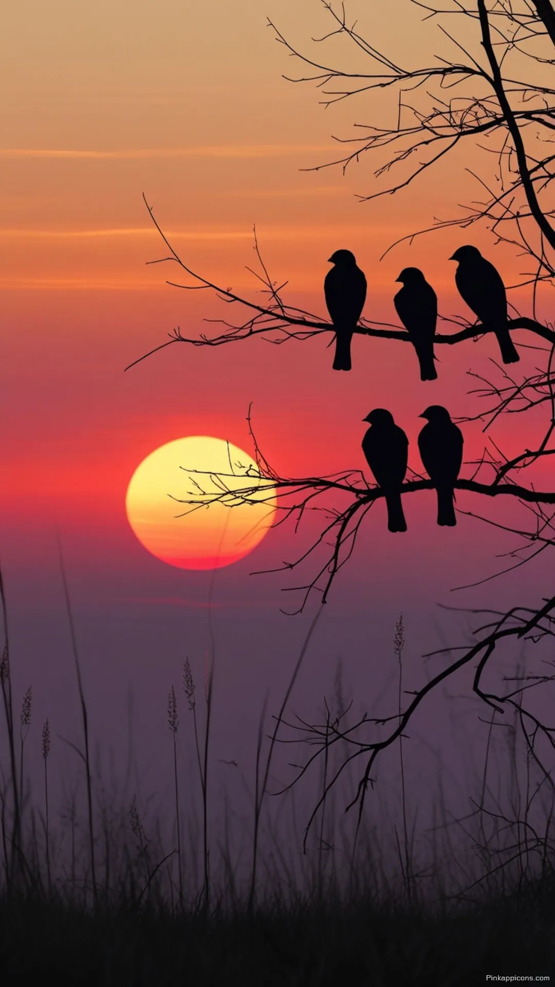 Serene Sunset Wallpaper with Birds on a Branch Serene Sunset Wallpaper with Birds on a Branch
