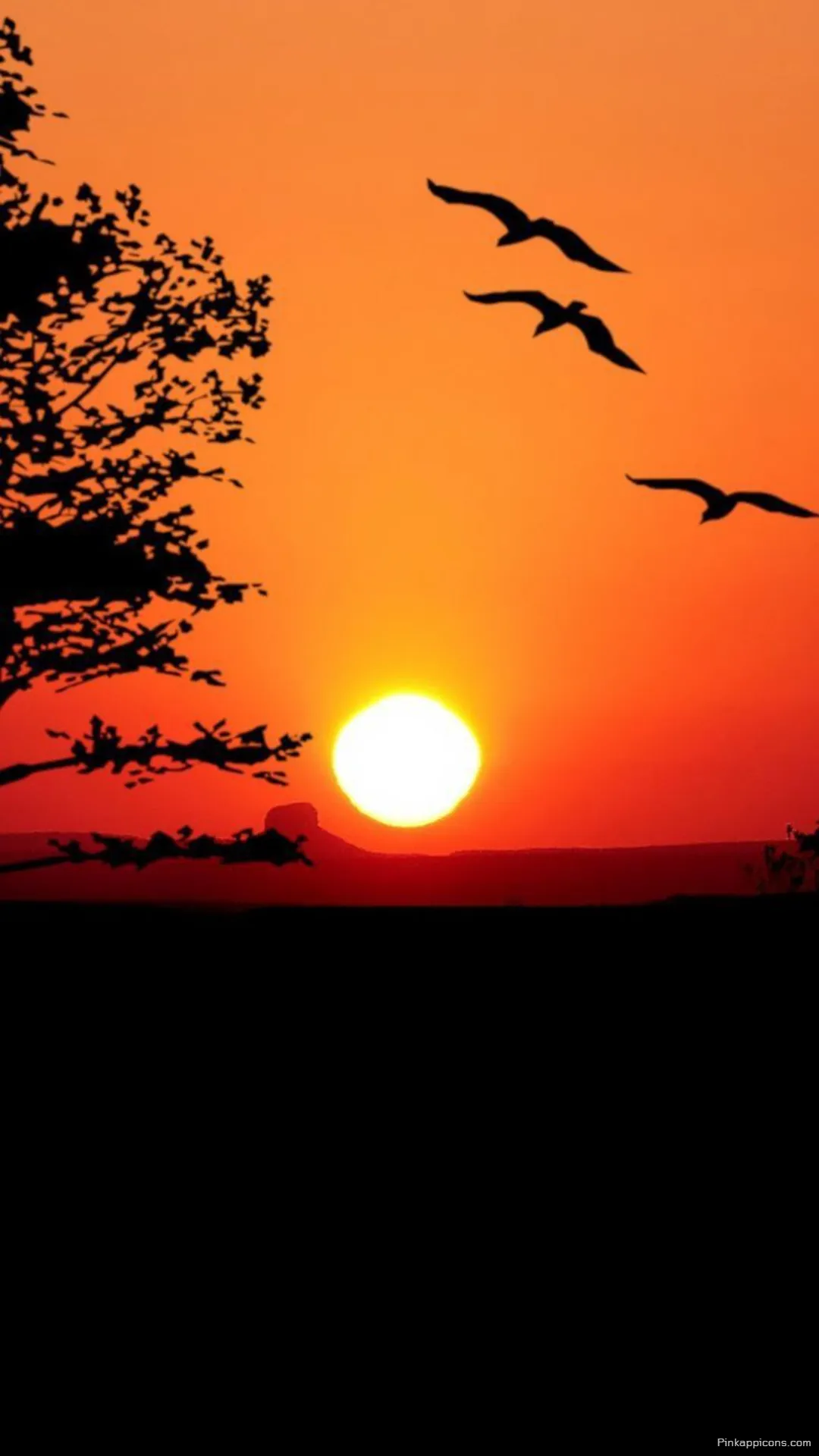 Silhouetted Tree and Birds Sunset Wallpaper Silhouetted Tree and Birds Sunset Wallpaper