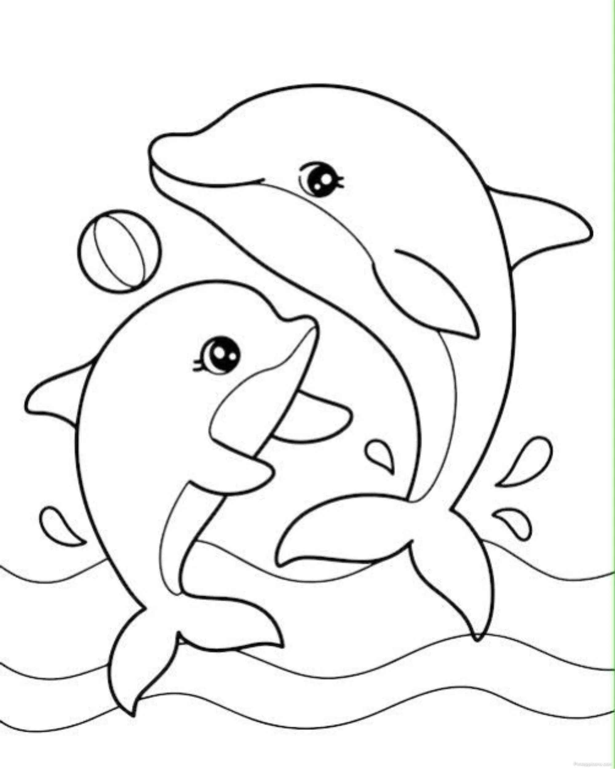 Simple Family Dolphin Drawing Ideas with a Ball Simple Family Dolphin Drawing Ideas with a Ball