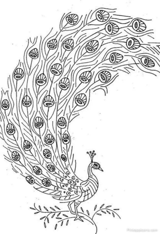 Simple Line Art Peacock Drawing on a Branch A Creative DRAWING IDEAS for Beginners Simple Line Art Peacock Drawing on a Branch A Creative DRAWING IDEAS for Beginners