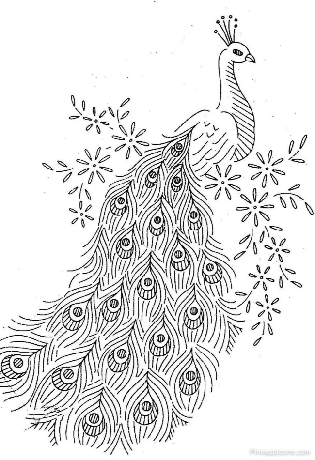 Simple Peacock Drawing with Floral Elements An Easy DRAWING IDEAS for Beginners Simple Peacock Drawing with Floral Elements An Easy DRAWING IDEAS for Beginners