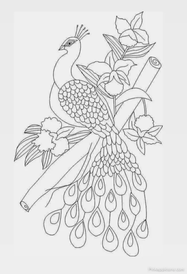 Simple Peacock Drawing with Flowers for Coloring An Easy Line Art DRAWING IDEAS Simple Peacock Drawing with Flowers for Coloring An Easy Line Art DRAWING IDEAS