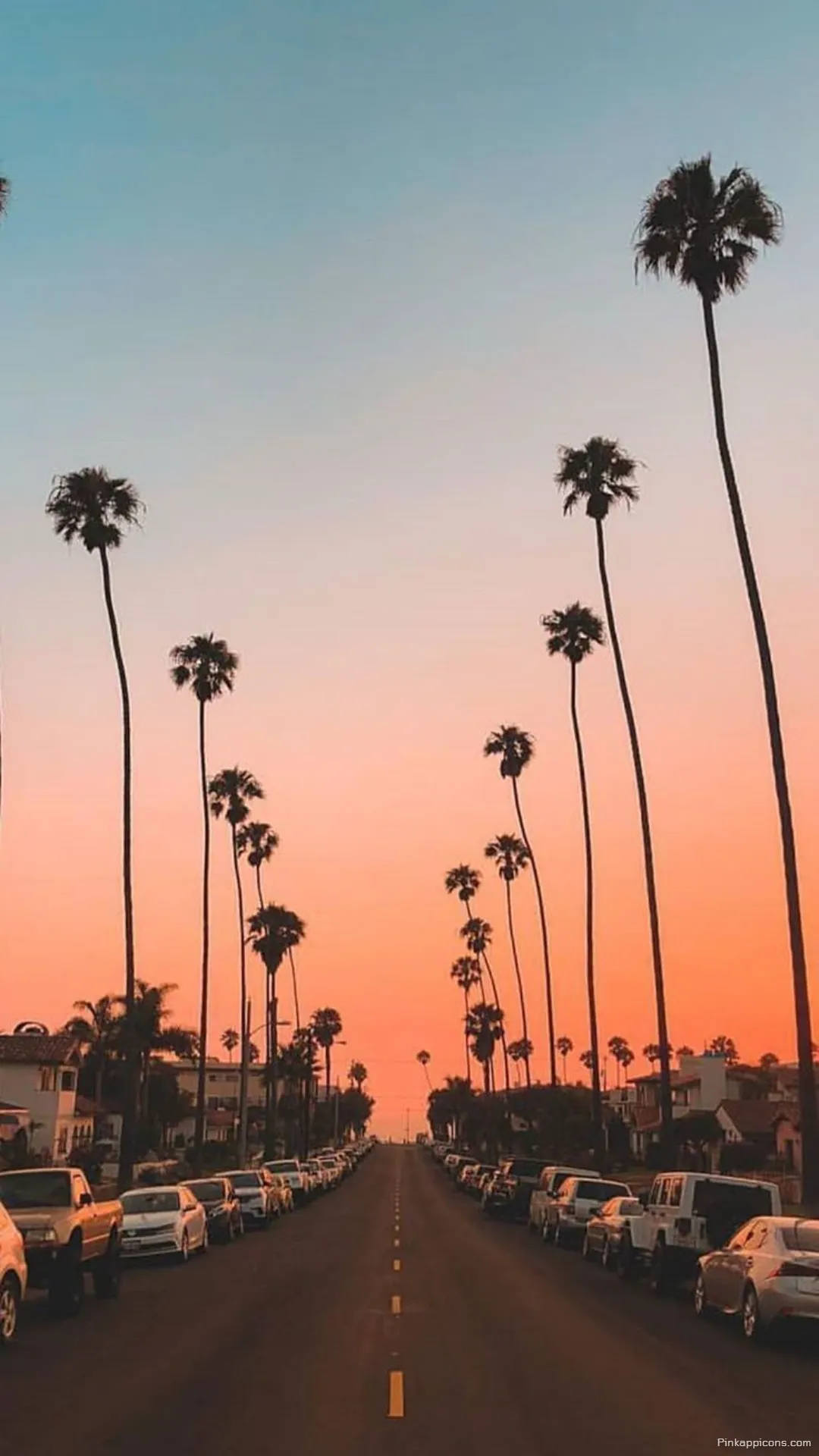 Simple Wallpaper HD Serene Street Lined with Palm Trees at Sunset Mobile Wallpaper Simple Wallpaper HD Serene Street Lined with Palm Trees at Sunset Mobile Wallpaper