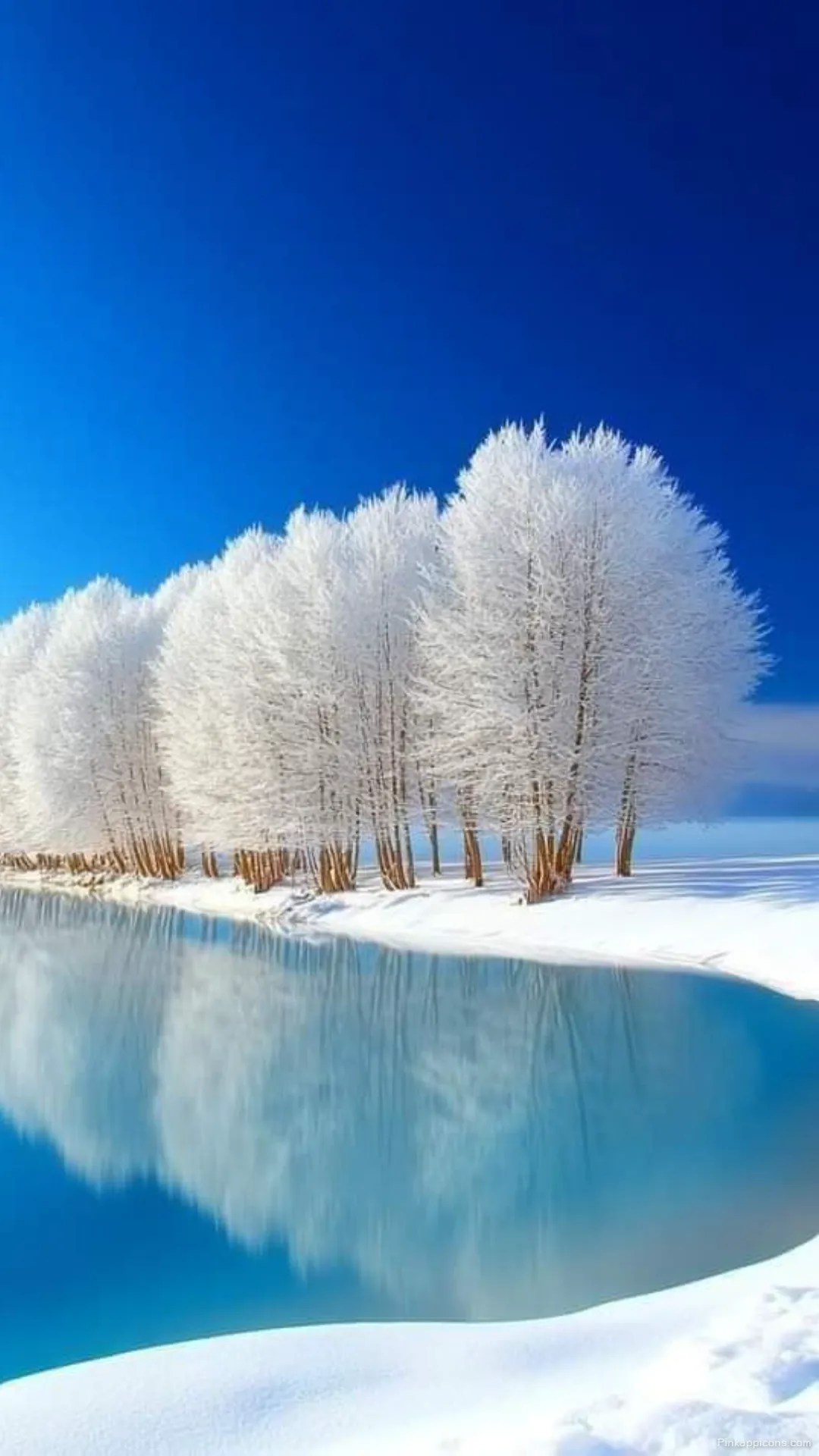Snow Wallpaper A beautiful view of a calm frozen lake with white trees and a bright blue sky perfect for your phone wallpaper Snow Wallpaper A beautiful view of a calm, frozen lake with white trees and a bright blue sky, perfect for your phone wallpaper.