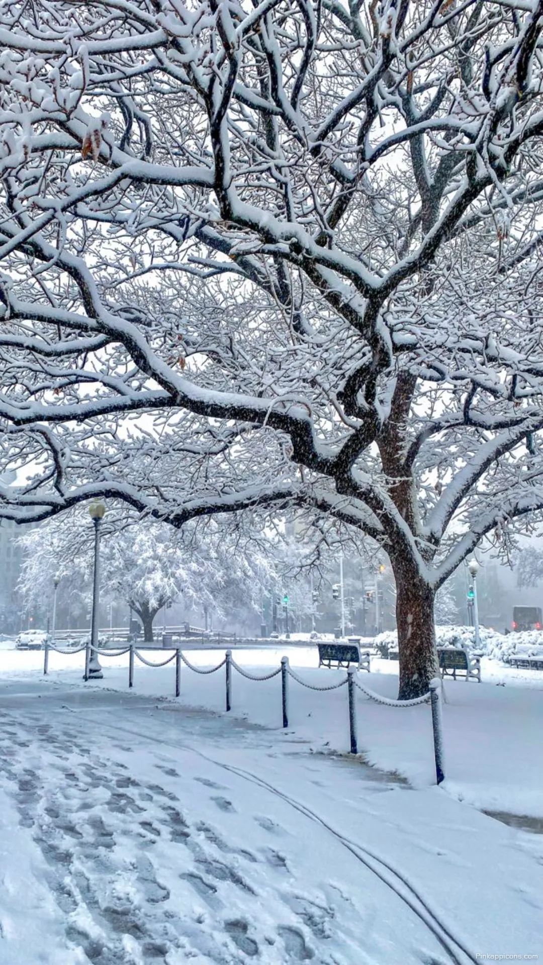 Snow Wallpaper A beautiful view of a city park covered in fresh snow perfect for your phone wallpaper Snow Wallpaper A beautiful view of a city park covered in fresh snow, perfect for your phone wallpaper.