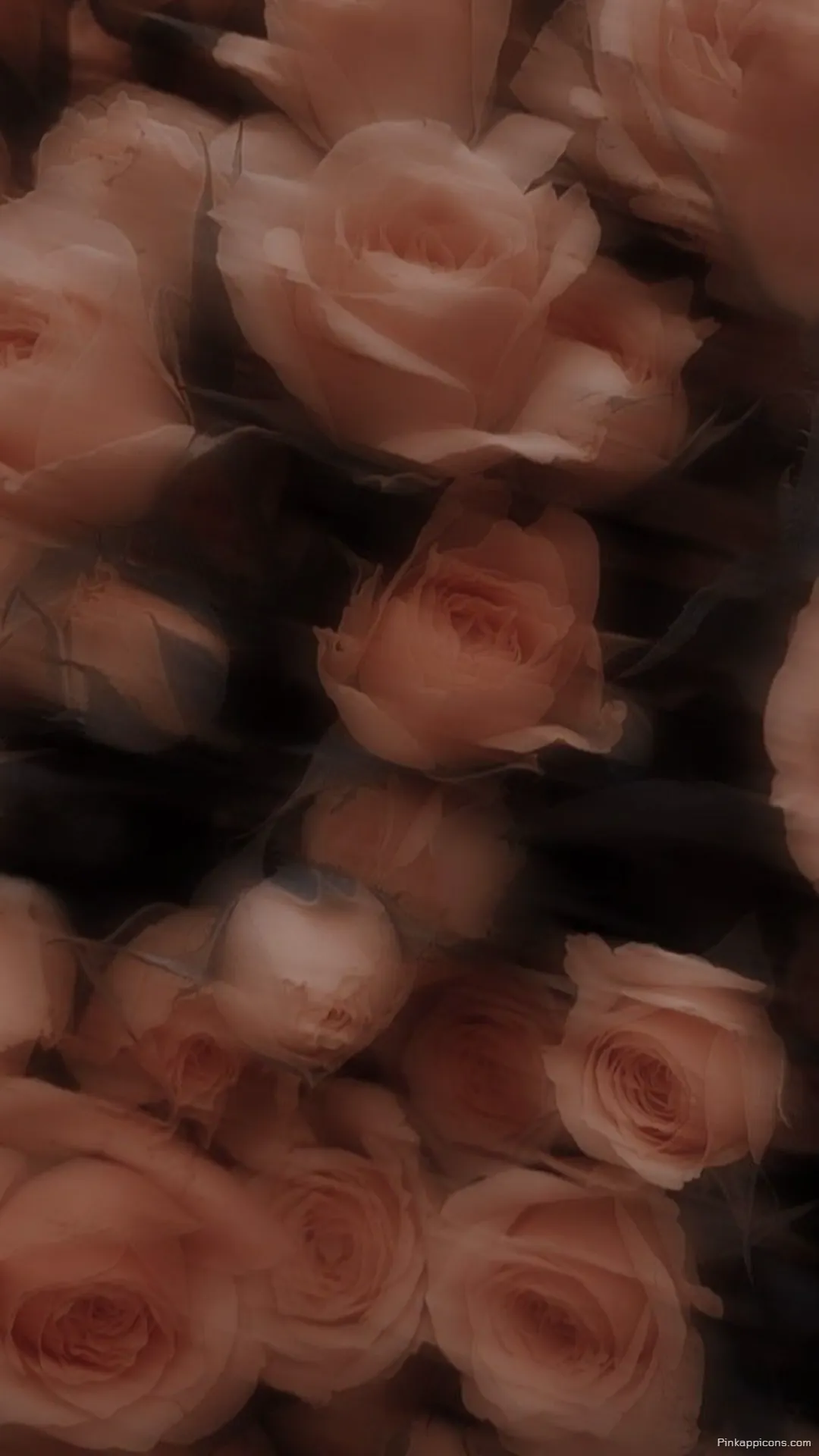 Soft Peach Rose Wallpaper Dreamy Blurred Floral Aesthetic for a Serene Phone Background Soft Peach Rose Wallpaper – Dreamy Blurred Floral Aesthetic for a Serene Phone Background