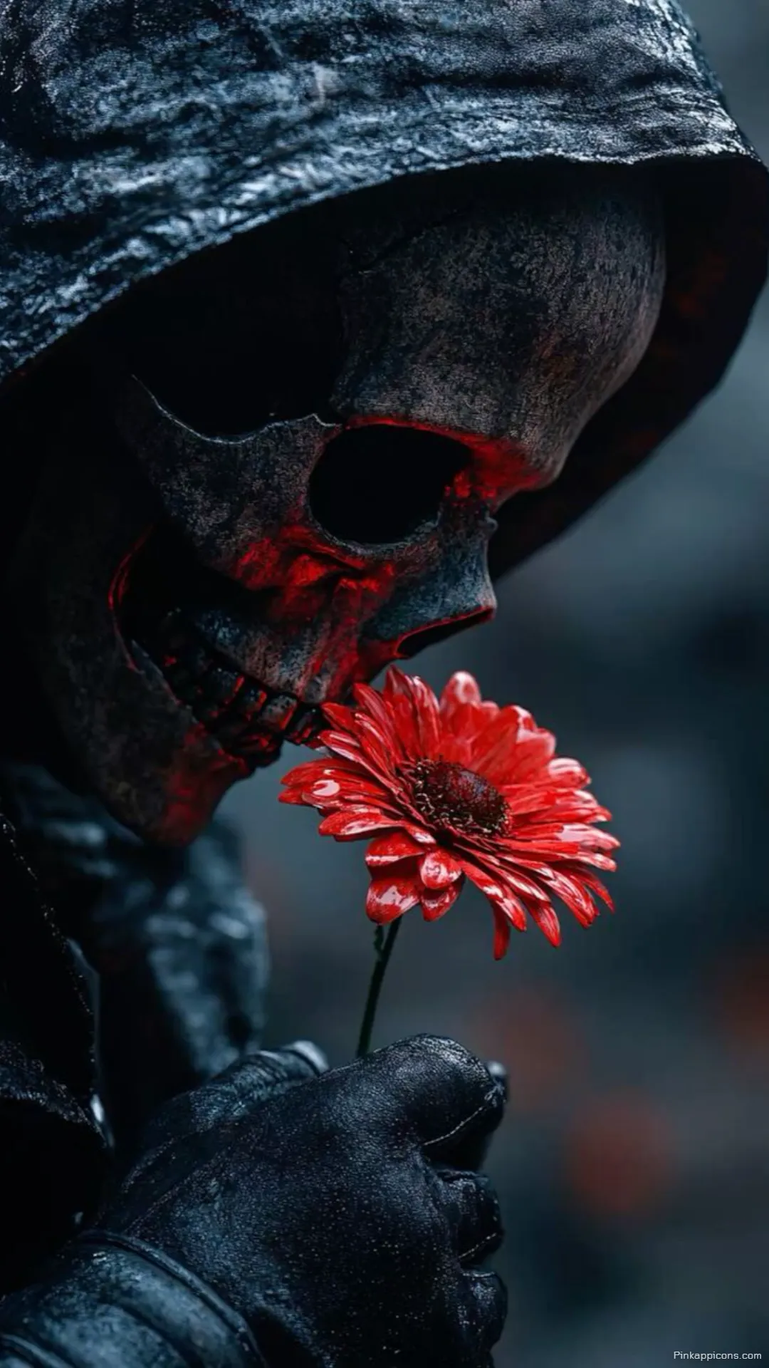 The Beauty of Death A Skull Wallpaper of a Skeleton Admiring a Red Flower The Beauty of Death A Skull Wallpaper of a Skeleton Admiring a Red Flower