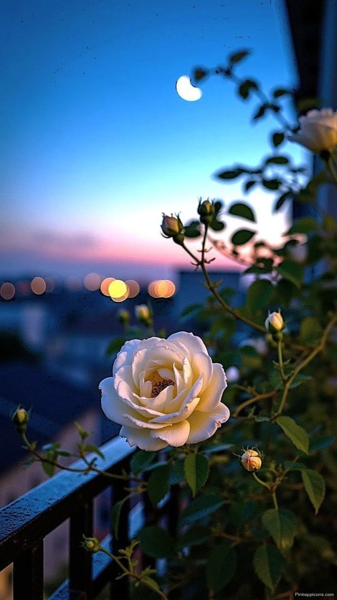 Twilight White Rose Wallpaper A Beautiful Rose with a Moon and City View for Phones Twilight White Rose Wallpaper A Beautiful Rose with a Moon and City View for Phones