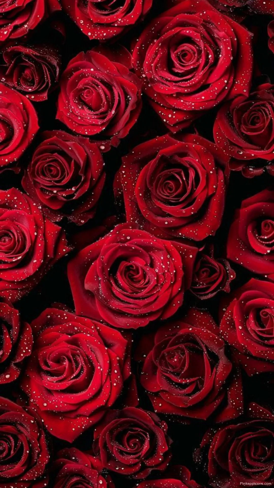 Vibrant Red Rose Wallpaper with Sparkling Dewdrops Luxurious Floral Phone Background Vibrant Red Rose Wallpaper with Sparkling Dewdrops – Luxurious Floral Phone Background