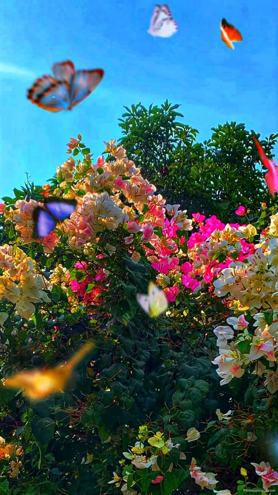 Vibrant Spring Wallpaper for Mobile Background Vibrant Spring Wallpaper for Mobile Background