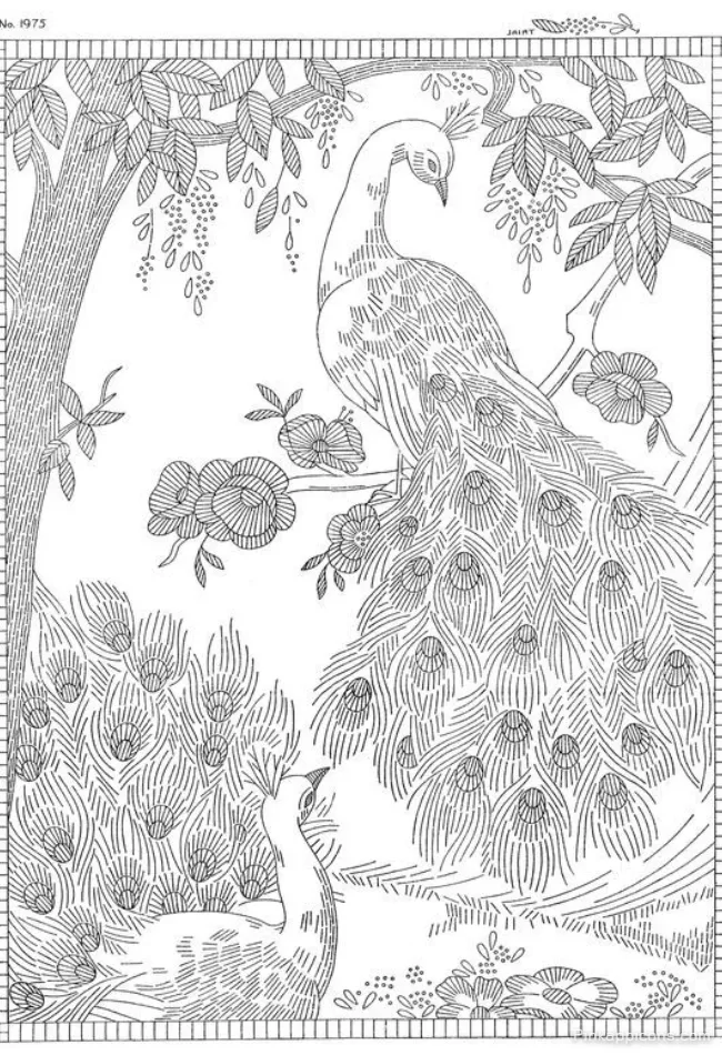 Vintage Style Peacock Drawing with a Pair of Birds A Classic Nature DRAWING IDEAS Vintage-Style Peacock Drawing with a Pair of Birds A Classic Nature DRAWING IDEAS