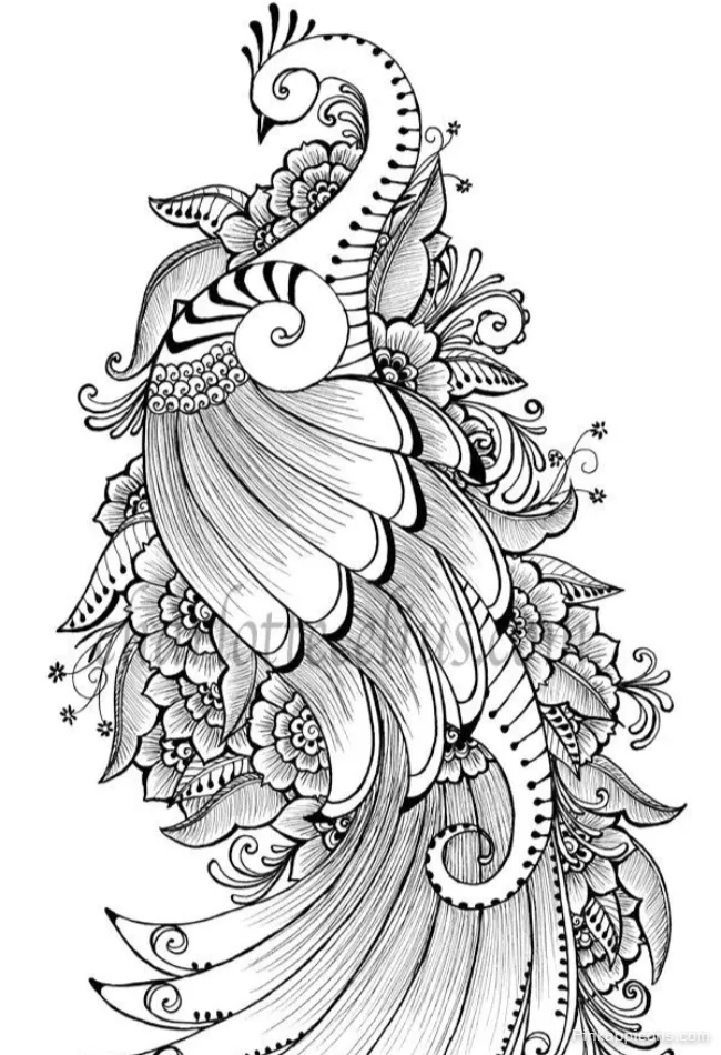 Zentangle Peacock Drawing with Ornate Flowers A Decorative Line Art DRAWING IDEAS Zentangle Peacock Drawing with Ornate Flowers A Decorative Line Art DRAWING IDEAS