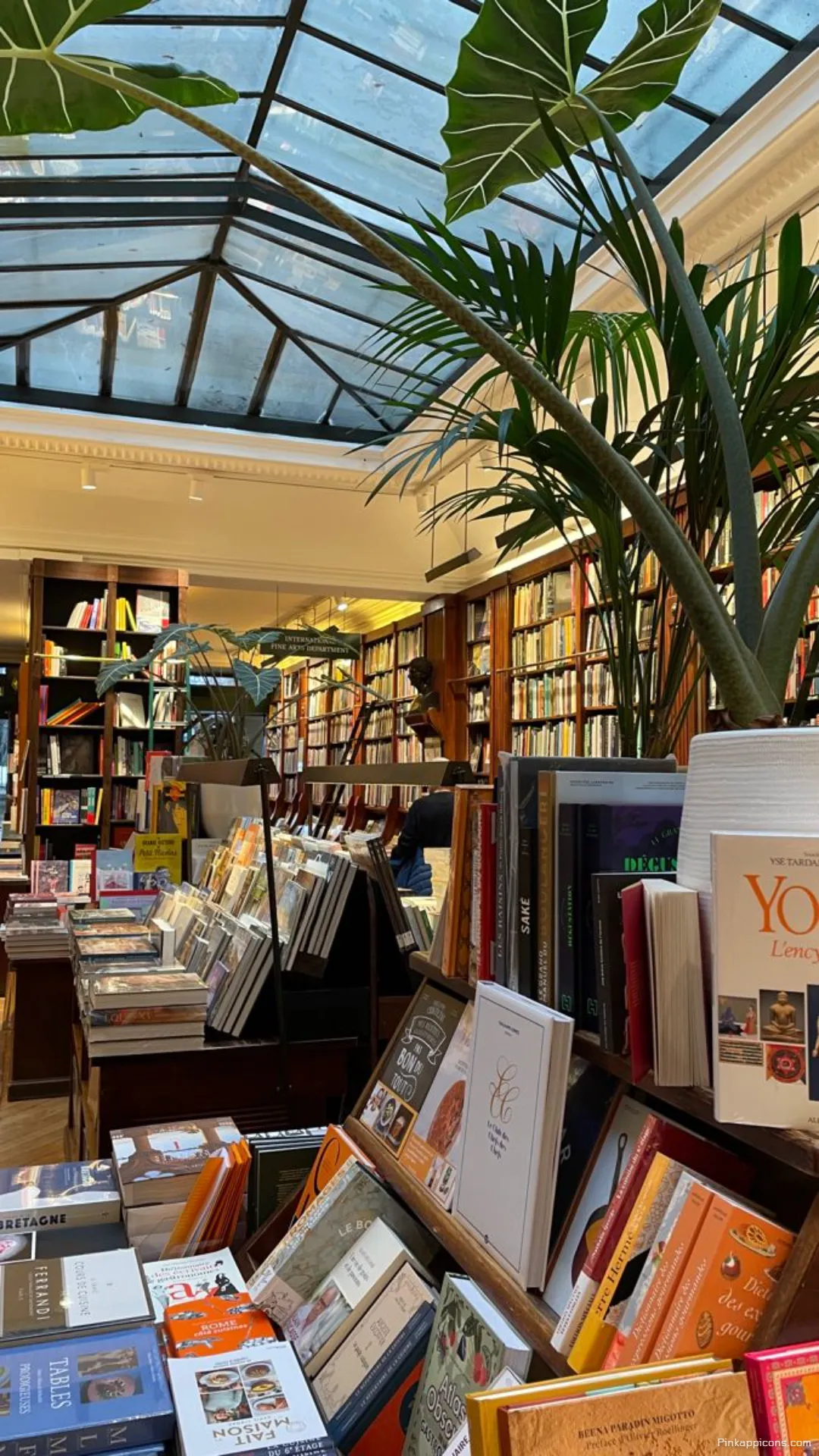 Bright and airy bookstore book wallpaper with a glass ceiling and lush plants for your phone Bright and airy bookstore book wallpaper with a glass ceiling and lush plants for your phone.