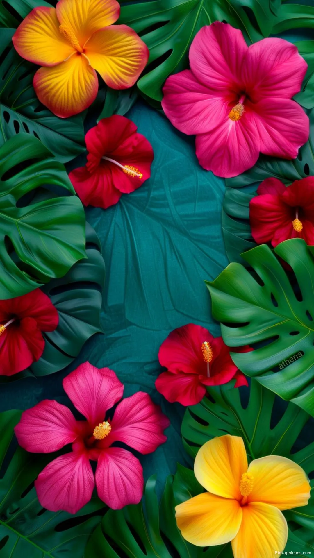 Colorful Red Pink Yellow Hibiscus Flowers Tropical Wallpaper for Your Phone Colorful Red, Pink, & Yellow Hibiscus Flowers Tropical Wallpaper for Your Phone