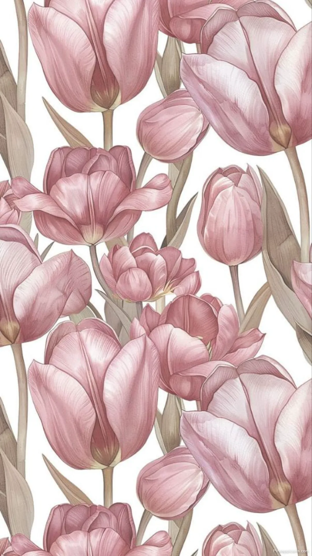 Elegant vintage botanical illustration magnolia wallpaper for your phones background Elegant vintage botanical illustration magnolia wallpaper for your phone’s background.