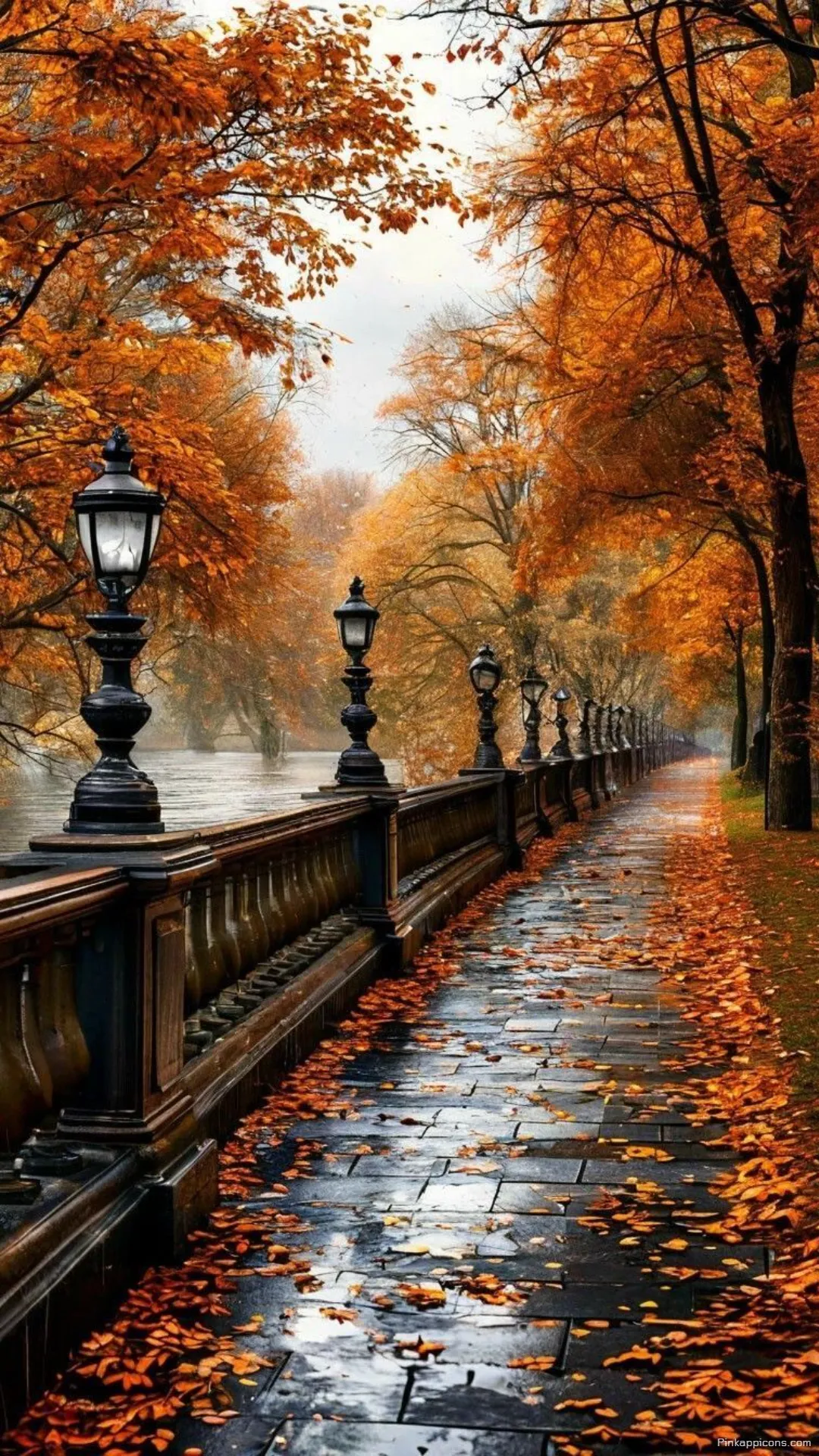 Enchanting Autumn Wallpaper Experience the beauty of fall with this vibrant pathway phone wallpaper Enchanting Autumn Wallpaper Experience the beauty of fall with this vibrant pathway phone wallpaper