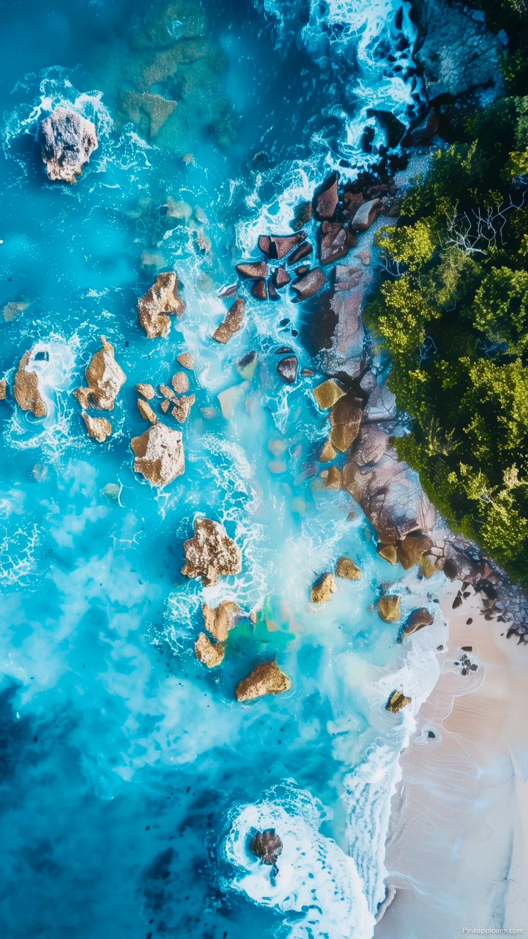 Exotic Coastal Ocean Wallpaper Azure Waters and Rocky Shoreline with Lush Trees Create a Stunning Mobile Phone Wallpaper Exotic Coastal Ocean Wallpaper Azure Waters and Rocky Shoreline with Lush Trees Create a Stunning Mobile Phone Wallpaper