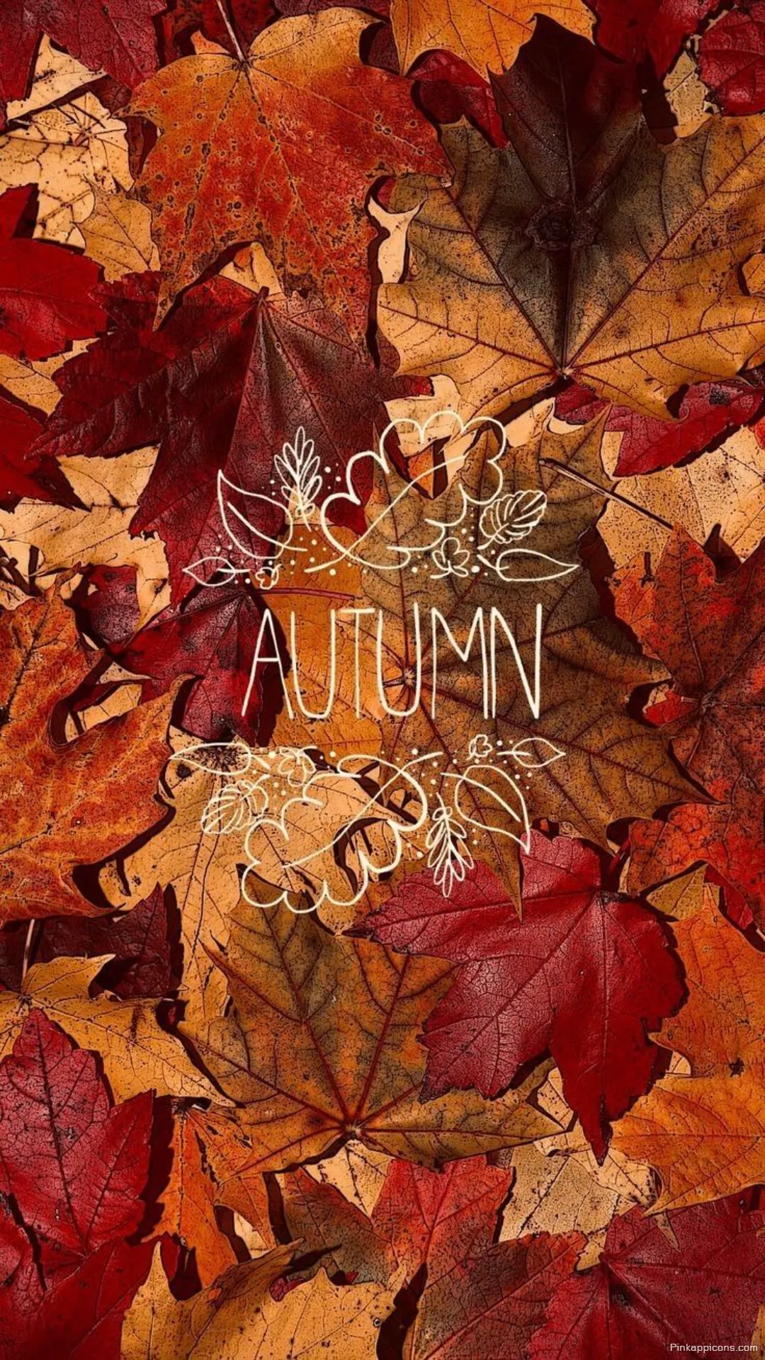 Picturesque Autumn Wallpaper Detailed Fall Foliage with AUTUMN Graphic Ideal Mobile Phone Background Picturesque Autumn Wallpaper Detailed Fall Foliage with ‘AUTUMN’ Graphic, Ideal Mobile Phone Background