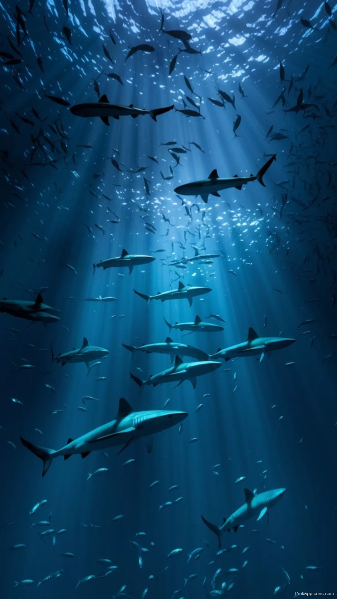 School of sharks wallpaper for phone an immersive underwater scene with stunning sun rays School of sharks wallpaper for phone, an immersive underwater scene with stunning sun rays.