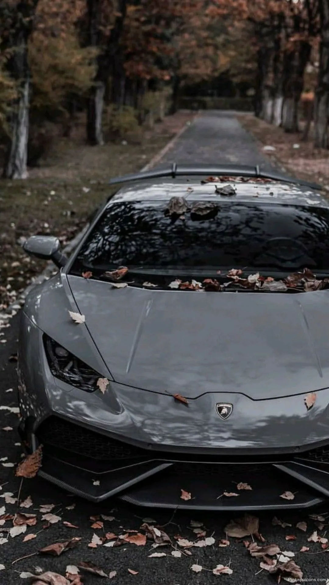 Stylish Lamborghini Huracan Wallpaper Dark Grey Supercar in a Beautiful Autumn Setting for Phones Stylish Lamborghini Huracán Wallpaper Dark Grey Supercar in a Beautiful Autumn Setting for Phones