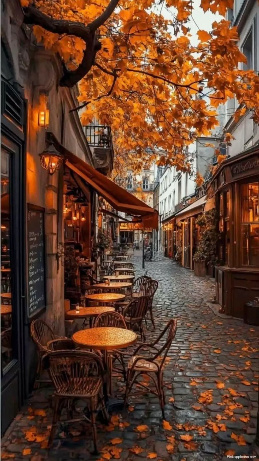 Warm Lights and Orange Leaves on a Historic Lane Picturesque Autumn Wallpaper for Phones Warm Lights and Orange Leaves on a Historic Lane Picturesque Autumn Wallpaper for Phones