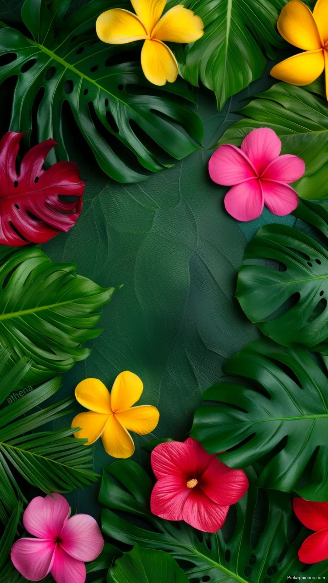 Yellow Plumeria Pink Hibiscus on Monstera Leaves Tropical Wallpaper for your Phone Yellow Plumeria & Pink Hibiscus on Monstera Leaves Tropical Wallpaper for your Phone